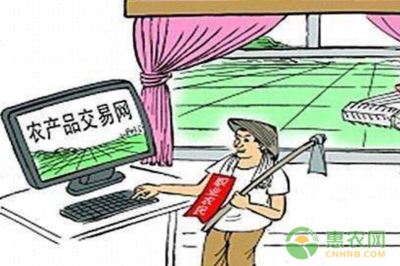 數字技術賦能，郵路變富路 中國郵政電商精準扶貧引領返鄉創業新浪潮